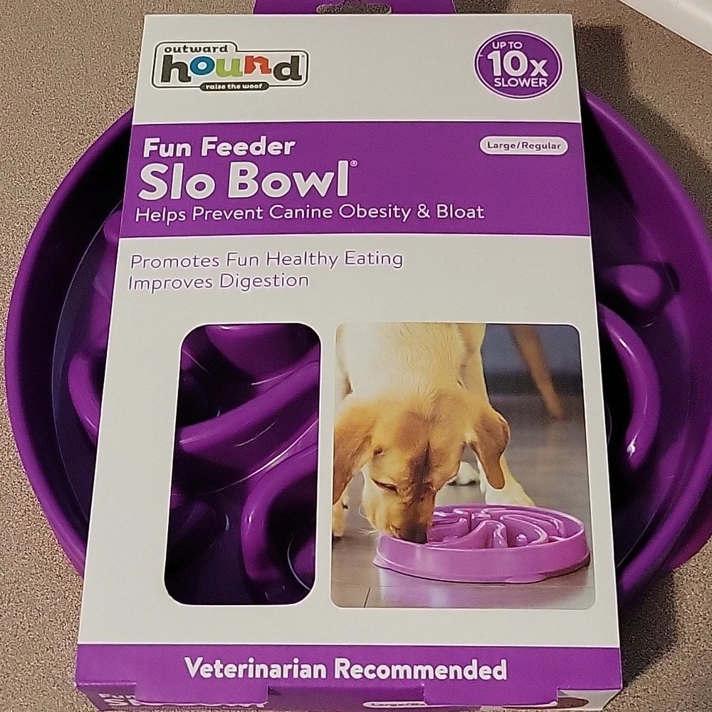 Slow Dog feeder bowl